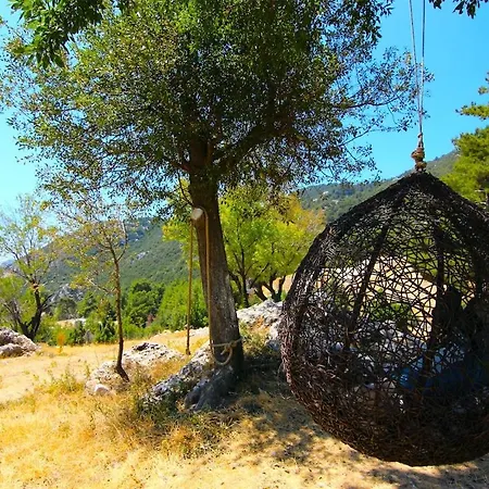 Tatil Evi Ladin, Icizge