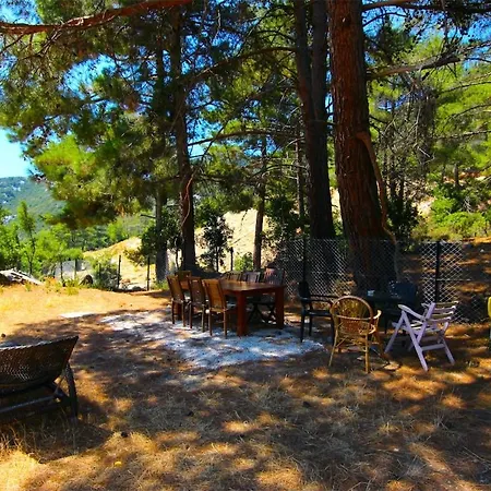 Ladin, Icizge Tatil Evi Kaş