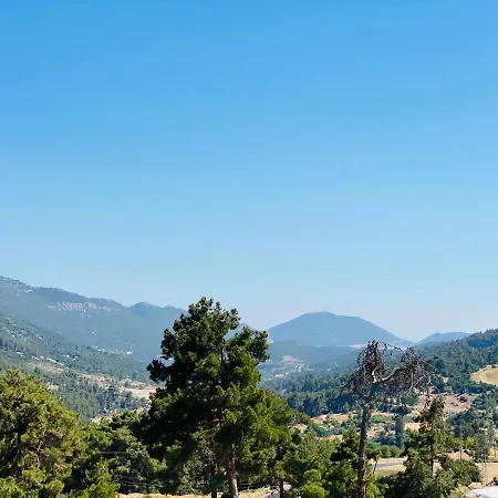 Ladin, Icizge Tatil Evi
