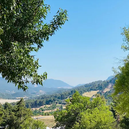 Ladin, Icizge Tatil Evi
